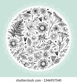 Template greeting card or invitation with flowers in a circle. Freehand drawing. Floral background