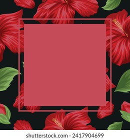 template for greeting card or invitation with open mallow buds and green leaves and red square frame for text, vector