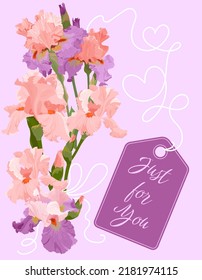 Template for a greeting card or invitation with pink-lilac irises and an inscription on a light lilac background