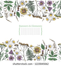 Template greeting card or invitation with plants. Freehand drawing with space for text. Seamless edge