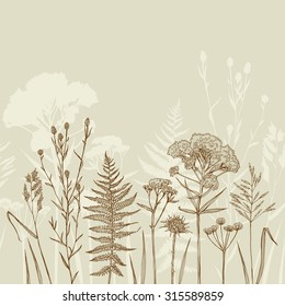 Template greeting card or invitation with plants. Herbarium. Sketch. Freehand drawing.