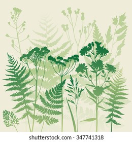 Template greeting card or invitation with plants. Herbarium. Sketch. Freehand drawing.