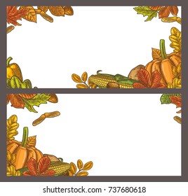 Template for greeting card and poster Thanksgiving day with pumpkin, corn, leaf maple, acorn, seed chestnut. Vector vintage color engraving illustration isolated on white background.