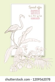 Template for greeting card,  invitation or banner  with tropical plants, palm leaves, monsters and orchids with flamingo. Outline hand drawing vector illustration.
