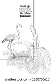 Template for greeting card,  invitation or banner  with tropical plants, palm leaves, monsters and orchids with flamingo. Outline hand drawing vector illustration.
