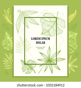 Template from hand draw structure of  tropic leaves in line art for creative design package flyer banner or for decoration package of  tea or cosmetic or  perfume or for design of  botanical theme