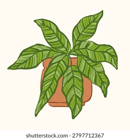 Template of hand drawn homeplant with stroke. Potted epiprenum with green foliage. For home decor, botanical themes, gardening, posters, social media, packaging, print, sticker.