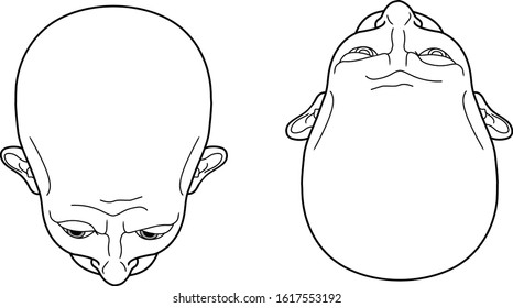 Template Head men top view. Line art. Vector illustration.