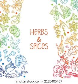 Template for herb and spice packaging, drawn element in doodle style. Silhouettes in rainbow colors. Herbs and spices - chili, vanilla, barberry, rosemary, bay leaf, etc. Layout in a trendy linear.