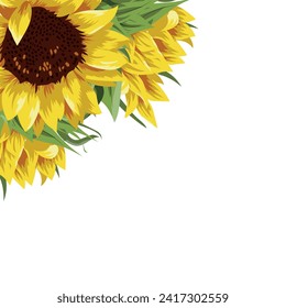 plantilla para una tarjeta de vacaciones o invitación de estilo floral, a saber, con brotes abiertos de girasoles amarillos en una ilustración lateral y espacio vacío para el texto de saludo en un fondo blanco, vector