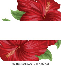 template for holiday card or invitation in floral style of open red mallow buds with green leaves and empty rectangle for greeting text on white background, vector