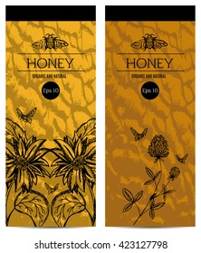 Template for honey with flowers of clover and sunflower. Vector floral template label with hand draw flowers and herbs. Layout, mockup design for honey, natural and organic products. 