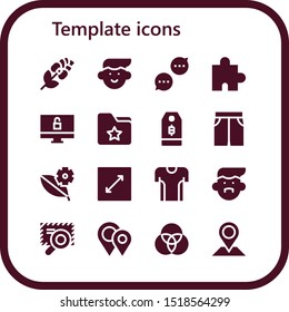 template icon set. 16 filled template icons.  Simple modern icons about  - Rose, Avatar, Chat, Puzzle, Computer, Folder, Price tag, Short, Leaf, Resize, Tshirt, Browser, Placeholders