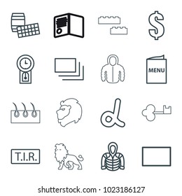Template icons. set of 16 editable outline template icons such as hoodie, dollar, alpha, lotto, tir, burst, menu, pendulum, lion, key, diploma, building block