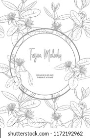 Template for invitation, greeting card, banner with place for text with feijoa flowers. Vector illustration. Outline hand drawing. Good for coloring page for the adult coloring book.