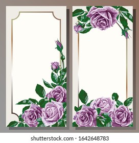 Template for invitation, greeting card with decorative rectangular frame and  pink-purple rose flowers.