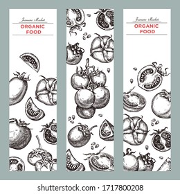 Template for label design with hand drawn linear tomato vegetables. Can be used for brochures, banner, restaurant menu, farmers market and organic food store
