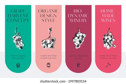 Template label design for homemade wines, grape harvest concept, viticulture banner. Vector winemaking icons. House-wine badges. Enology sign. Grape bunch, grapevine branch. Black ink illustrations.