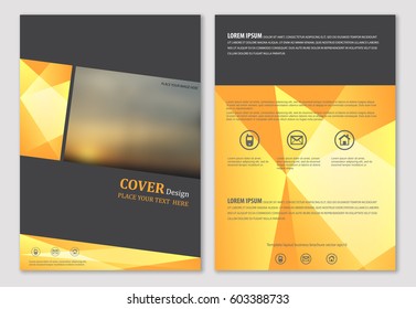 Template layout for annual report brochure flyer cover design vector