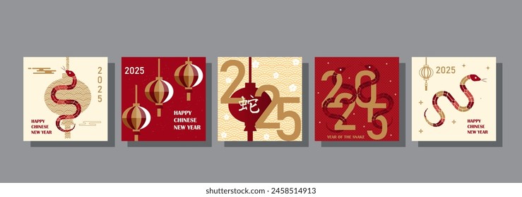 Template layout Chinese New Year 2025, year of the snake, zodiac