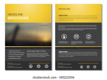 Template layout for magazine brochure flyer vector