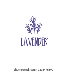 Template logo design of beautiful abstract lavender flower. Vector illustration