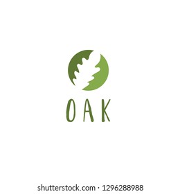 Template logo design with oak tree. 