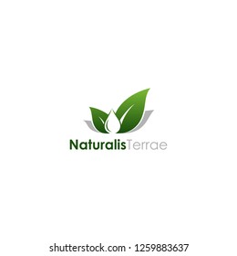 TEMPLATE LOGO NATURE