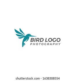 Template logo vector bird flying