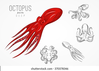 Template for logos, labels and emblems with outline silhouette of octopus. Vector illustration.