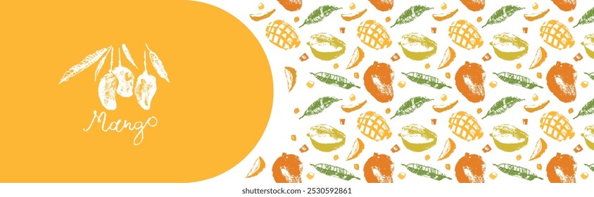 Template mango banner design with vector tropical fruits pattern. Tropical fruit drawings. Color sketches of organic mangoes. Exotic fruit ornament. Mangos label background.