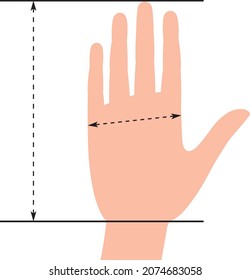 Template for measuring hands. Glove Sizing Charts. Template for measuring gloves. Vector illustration.