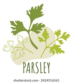 Template for modern abstract print design label. Fashionable illustration of parsley leaves. Modern abstract design template. Web banner template.