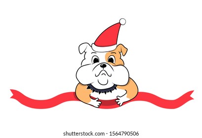 Template for new year card with funny christmas puppy. Cute kids style small bull dog in Santa's red hat and wavy ribbon. Nice pet with big eyes isolated on white. Happy new year. Xmas lovely animal.