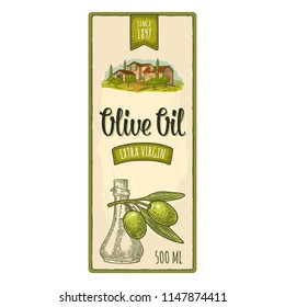 Template olive label. Bottle and Jug glass of liquid with cork stopper and branch with leaves. Rural landscape with villa or farm with field, tree and cypress. Vector vintage color engraving