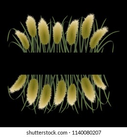 Template on black background with miscanthus in watercolor style. Classic square mock up, template for greeting, birthday cards, invites, covers and posters with text place.