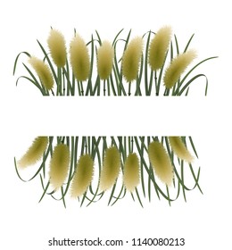 Template on white background with miscanthus in watercolor style. Classic square mock up, template for greeting, birthday cards, invites, covers and posters with text place.