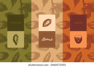 Template organic nutrition banner set. Hand drawn almond seamless pattern. Nuts illustrations. Web banner, oil packaging or marzipan paste label design. Floral sketches background, almond ornament.