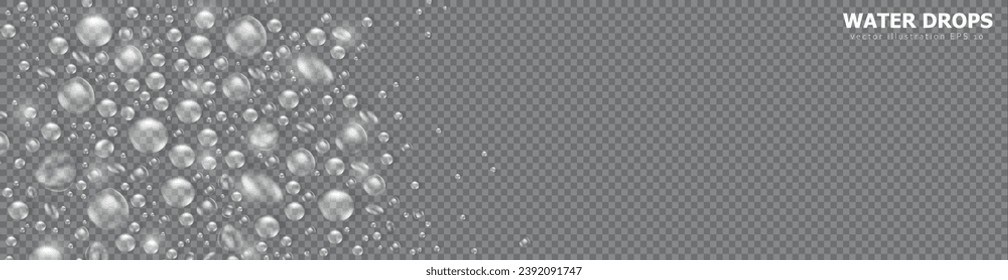Plantilla de banner panorámico con gotas de agua puras realistas enmarcada en fondo transparente. Cabecera con rocío brillante 3d, manchas de agua. Cartel vectorial con gotitas de lluvia o salpicaduras acuáticas