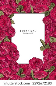 Template with pink tea roses on dark red background. Pattern with wild roses and leaves. Frame design with floral elements for banner, poster, flyer, cover. Flower border. Vintage linear garden roses