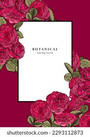 Template with pink tea roses on dark red background. Pattern with wild roses and leaves. Frame design with floral elements for banner, poster, flyer, cover. Flower border. Vintage linear garden roses 