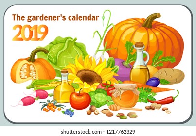 Template of pocket calendar year 2019 for gardener. Vector illustration with vegetable.