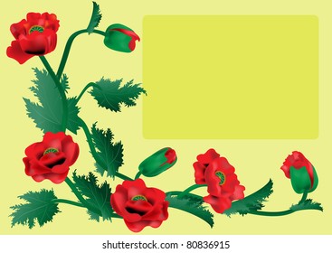 Template of a post card with red poppies