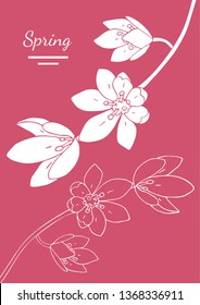 Template postcard with the image of the silhouette of a snowdrop.