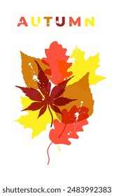 Plantilla para póster, Anuncio, portada sobre un tema de otoño. Hojas de otoño en estilo plano con un efecto audaz y salpicaduras. Fondo blanco. Diseño aislado. Inscripción Otoño