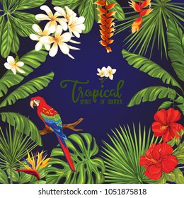 Template of poster, banner, postcard with tropical flowers and plants and parrot bird on black background. Stock vector  illustration.