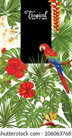Template of poster, banner, postcard with tropical flowers and plants and bird on white background. Stock vectorÂ illustration.