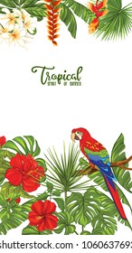 Template of poster, banner, postcard with tropical flowers and plants and bird on white background. Stock vectorÂ illustration.