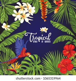 Template of poster, banner, postcard with tropical flowers and plants and parrot bird on black background. Stock vector illustration.