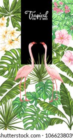 Template of poster, banner, postcard with tropical flowers and plants and flamingo bird on white background. Stock vector illustration.